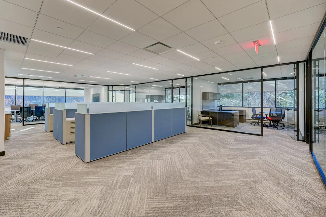 Recently redesigned office space which enabled a company to scale without having to relocate
