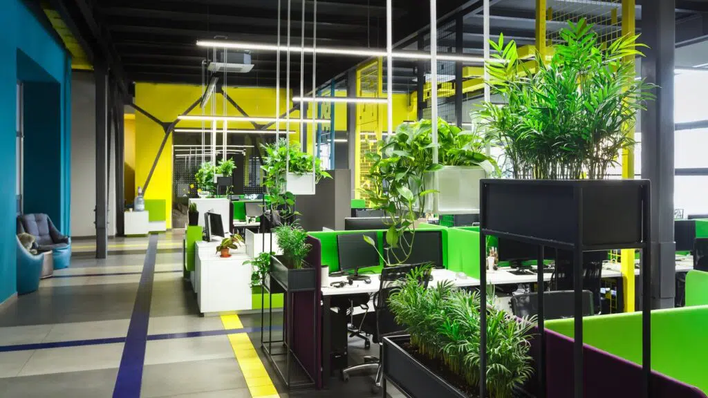 Biophilic Modern Office Design to boost wellbeing in your workplace